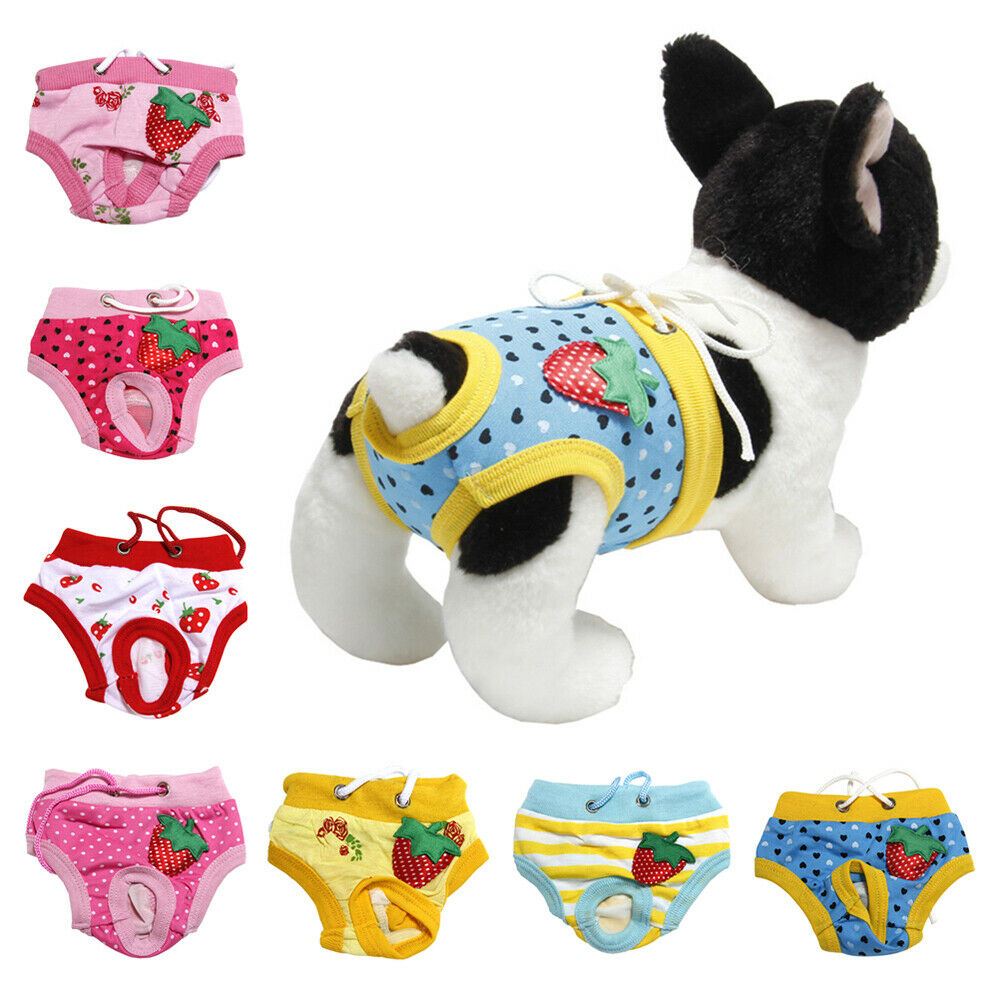 Hot Pet Physiological Pant Puppy Dog Cat Underwear Shorts Diaper Sanitary Briefs